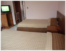 pic1