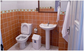 pic5